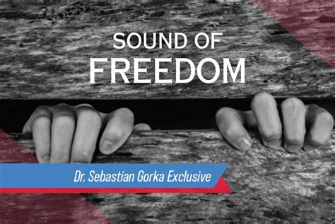 Why is sound of freedom being boycotted. Things To Know About Why is sound of freedom being boycotted. 